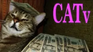 5 Cute Animals Acting Like People