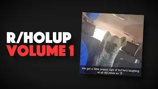 The CRAZIEST posts on R/HolUp!!!