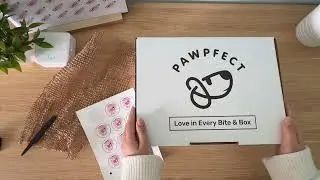 Packaging a Pawpfect Box for a Lucky Pup | Small Business Life