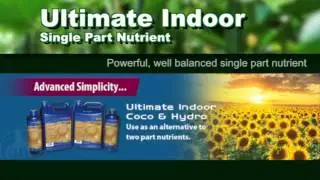 Ultimate  Indoor Video