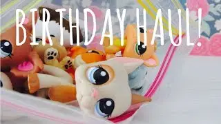 LPS: BIRTHDAY HAUL 2019!! NEW RARE LPS!!