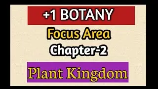 ##Plusonebotanyfocusarea##+1Botany/Chapter 2/PLANT KINGDOM/Focus Area based/Eng& Mal/Diagrams &not;es