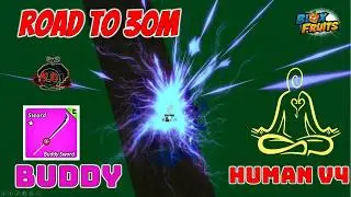 Road to 30M Bounty || This combo  BUDDY + PORTAL + Human race is INSANE in Blox FruitS