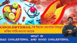 what is cholesterol,normal range,function,and how to control/LDL,HDL,VLDL cholesterol