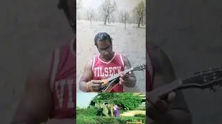 Gulaabi aankhen | गुलाबी आँखें Song | Bollywood | Single string | Easy & Simple tabs | on Mandolin.