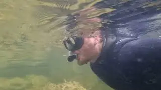Snorkling i Navarn