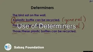 Use of Determiners, English Lecture | Sabaq.pk