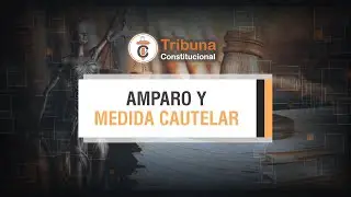 Amparo y Medida Cautelar - TC # 434