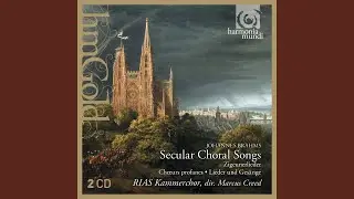 Five Songs, Op. 104: II. Nachtwache II