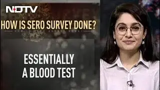What Is Sero Survey? | FYI