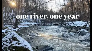 1 year in 10 minutes, Alna river, Norway / Meditative, calm nature scenes / Vivaldi / ASMR