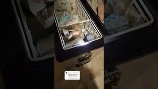 Whynter Portable Fridge 6 Yr Update