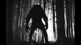 Bigfoot & Kicking it with The Crew: Jr and Cameraman