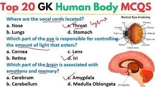 Human body mcqs 2024 | Biology mcqs for competitive exam #sst #mdcat #neet |Biology mcq