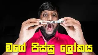 මගේ පිස්සු ලෝකය 🚖🚘🚦❤️🇱🇰 | HOT WHEELS COLLECTION REVIEW | Vlog 7 | Johan Chrishanth