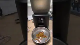 Delupet Automatic Feeder Review