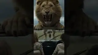 &ldquo;Lion Charges at Safari Jeep &mdash; Real Jungle Encounter!&rdquo;#shortsfeed #shorts #short #trending #viral