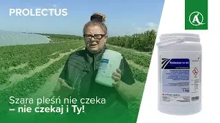 PROLECTUS 🍓 Szara pleśń nie czeka &ndash; nie czekaj i Ty!