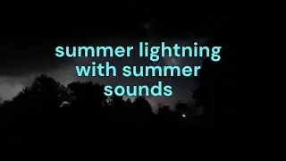 #summer lightning with summer sounds #crop duster short #orange cat facts #homer vs dog #cat #histor