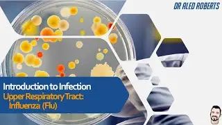 Respiratory Tract Infection, Influenza