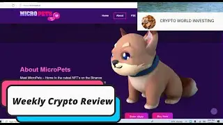 MicroPets  PETS Weekly Crypto Review Jan 8 2022