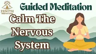 Calming The Nervous System | 12 Minute Guided Meditation For Relaxation