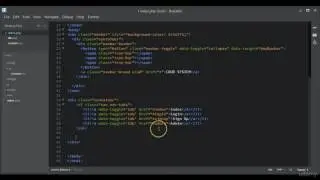 992114   010   Using Bootstrap Tabs on Index Page
