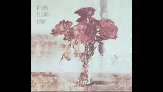 The Death Of The Comfortable Bohemian - Tucson Arizona Kings