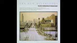Valerie Wellington⭐The New Bluebloods the Next Generation of Chicago Blues⭐@ fool for yo (1987)