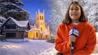 अगर आप भी जा रहे है Shimla तो ध्यान रखें इन बातों का