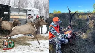 Youth Elk Hunt for Red October, Celebrating 25 Years of Elk Restoration