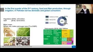 Leverage the Water-Energy-Food Nexus: Applying a Complex Adaptive Systems Approach