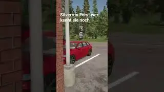 LS 25 PS5 Mapvorstellung Silverrun Forst