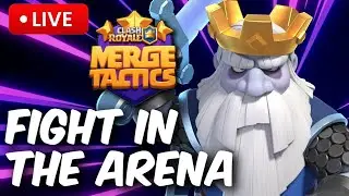 Merge Tactics fun rating climb session!
