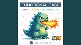 FUNCTIONAL BASE 030