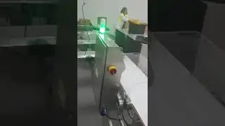 CWS Packaging Line for 1kg Corn chips