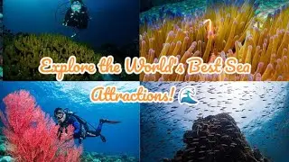 Explore the World's Best Sea Attractions! 🌊