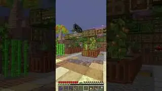 Meerkats from Mars #shorts #minecraft