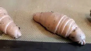 Caterpillar bread rolls