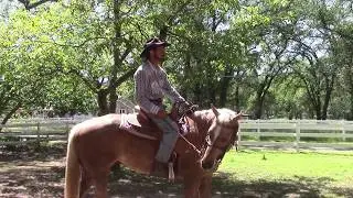 The Perfect Start For The Unbroke Horse, First Ride, Mike Hughes