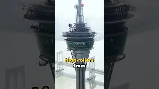 High Stakes: World's Top Gambling Spots!