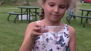 Opening 
