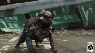 RITORNANO I CANI SU BO4 - NOMAD TRAILER - BETA BLACK OPS 4 [BO4 ITA]