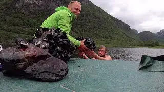 Coastal foraging, Hunting & Cooking Mussels - catch and cook Norway 25