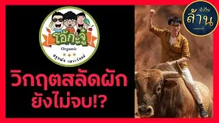 OKJ วิกฤตสลัดผักยังไม่จบ!? | มีเป็นล้านเลยหรอพี่! Right Now