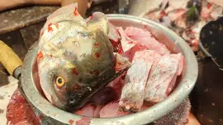 #AmazingMan Cutting | Big CATLA CARP FISH Cutting In Fish Market | Fish Cutting Skills