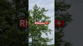 📍Rheinau 🇨🇭 Swiss #youtube #foryou #followme @LeoSwitzerlandweltweit #viral #like #share