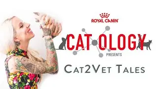 Cat2Vet Tales: Adult and Senior Cat Health