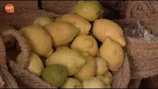 Ailimpo promocionar&aacute; el lim&oacute;n en cuatro pa&iacute;ses.
