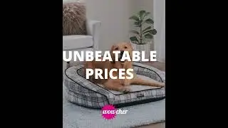 Wowcher Deals 2022